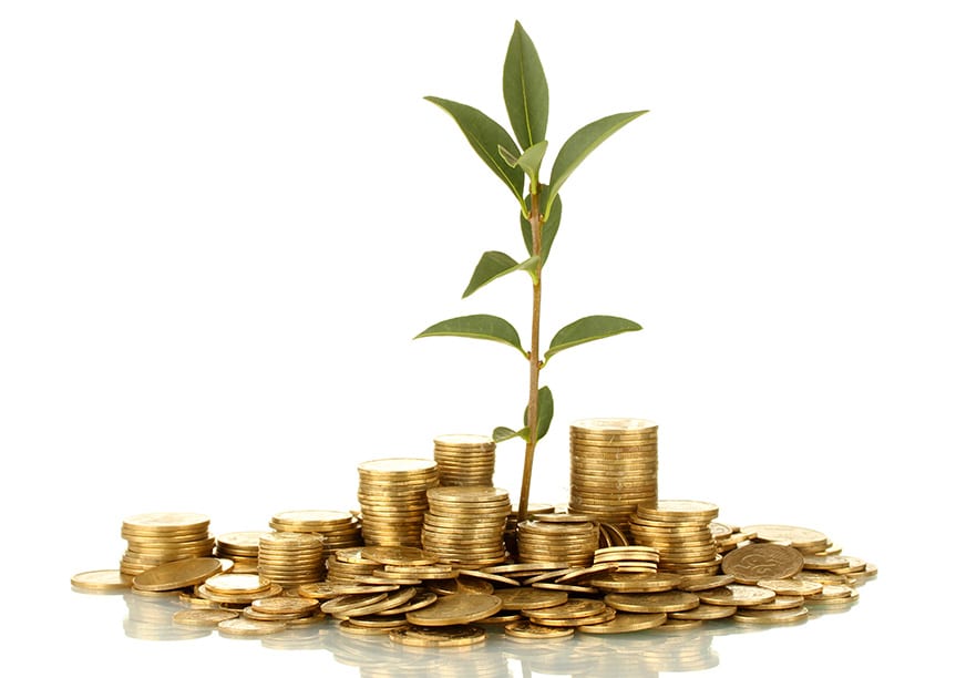 wealth management ireland